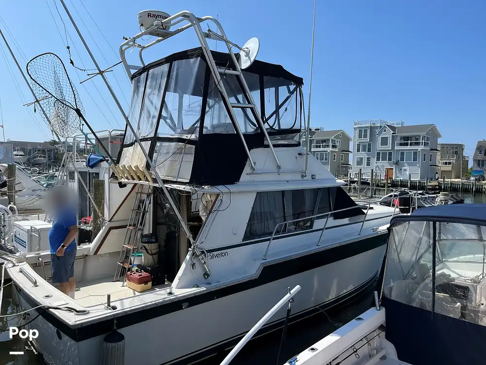 Sold Silverton 34 Convertible Boat in Beach Haven, NJ 348589 Pop Sells