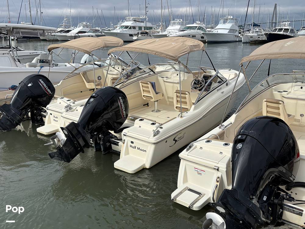 Scout Boats For Sale by owner | 2023 Scout 210 Dorado